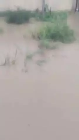 टोंक: यूसुफपुरा चराई स्थित यूनिवर्सिटी कॉलेज ऑफ युनानी में जल भराव के कारण विद्यार्थी और शिक्षक परेशान