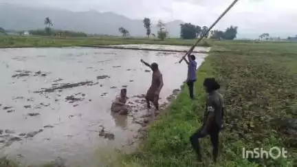 जमुई: महनदली गांव में जमीन विवाद को लेकर हुई मारपीट में तीन लोग घायल, एक को सदर अस्पताल में कराया गया भर्ती
