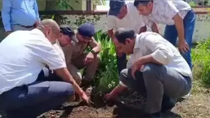 चम्पावत: जिलाधिकारी व पुलिस अधीक्षक ने टनकपुर से हरेला महाअभियान का शुभारंभ किया, लगाया 'एक पेड़ मां के नाम'