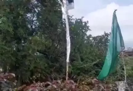 शिवसागर: सावन के महीने में झमाझम बारिश में मंदिर और कर्बला के बीच गिरा इमली का प्राचीन पेड़, लोग देख रहे हैं हैरान