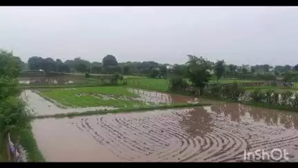 राजसमंद: राजसमंद में बरसात से ग्रामीण हो रहे परेशान, अवैध कब्जों के कारण नदी-नाले बंद होने से खेतों में जम गया पानी