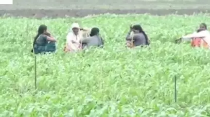 देपालपुर: देपालपुर में मानसून की बारिश जारी, पिछले 24 घंटे में 16.8 मिलीमीटर वर्षा हुई