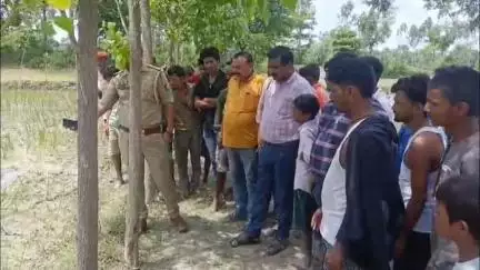 महसी: मटेरा नहर के पास कुत्तों के झुंड से घायल किशोर की इलाज के दौरान हुई मौत, इलाके में कुत्तों के झुंड से दूसरी मौत, दहशत