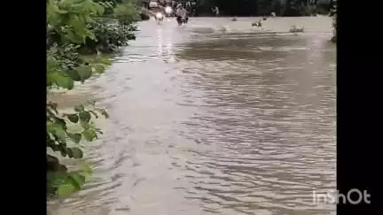बिछिया: अंजनिया-बम्हनी मार्ग पर चिकनिया नाले में उफान, ग्रामीण जान जोखिम में डालकर नाला पार करने को मजबूर