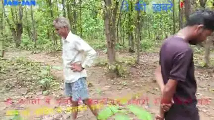 मरवाही के हाथमुड़ी के जंगल में मिलता है पूटू,छतनी साथ में तरह-तरह के फल-फूल जंगली जानवरों का खतरा हाथी,भालू,टाइगर विचरण?