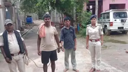 शेखोपुर सराय: शेखोपुरसराय थाना क्षेत्र से दो शराबी गिरफ्तार, अलग-अलग स्थान से पकड़े गए, न्यायालय भेजा गया