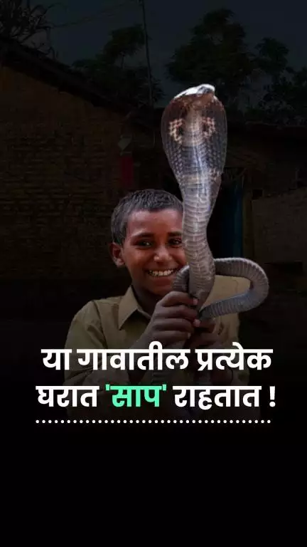 एक अनोखं गाव जिथे साप आणि माणसं एकत्र राहतात | Shetphal Snake Village | Solapur | Maharashtra