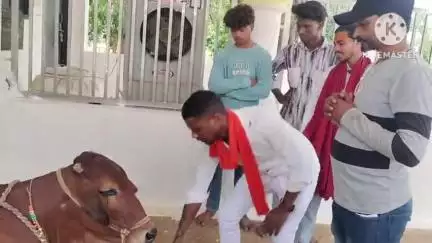 शिवसेना स्थापना दिवस के अवसर पर कार्यकर्ताओं ने मनोहर गौशाला खैरागढ़ में किया विशेष आयोजन