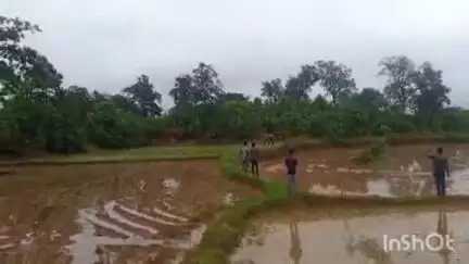 ଚମ୍ପୁଆ: କୣଷ୍ନପୁର ନିକଟରେ ଅଠେଇଶ ଦଳିଆ ହାତୀପଲ ଗତ ରାତି କୣଷ୍ନପୁର ବରାବଳିଆସାହି ଓ ଶଶାଗଂ ଗ୍ରାମରେ ତିନି ଘର ଭାଗିଂଥିବା ସୂଚନା