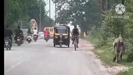 कोरबा: कोरबा में वन भूमि से अवैध कब्जा हटाया गया, डिंगापुर में जेसीबी से तोड़ी गई पक्की दीवार, कब्जाधारी का नहीं चल सका पता