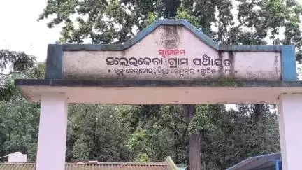 ତେଲକୋଇ: ତେଲକୋଇ ରେଞ୍ଜ ସଲେଇକେନା ଗାଁରେ ହାତୀ ମୃତ୍ୟୁକୁ ନେଇ ପ୍ରତୀକ୍ରିୟା ରଖିଲେ ଜିଲା ଜଙ୍ଗଲ ଅଧିକାରୀ