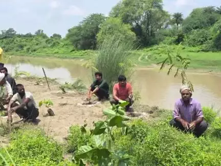 कन्नौज: कन्नौज में डीएम के निर्देश पर ईशन नदी किनारे लगाए गए 25 हजार पौधे, अभियान जारी रहेगा