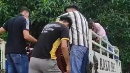 घुमारवीं: NSUI जिला अध्यक्ष नितिन चड्डा और जिला परिषद सदस्य शालू रणौत ने कॉलेज में ₹1 लाख की लागत से बेंच लगाए