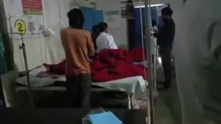 छत्तीसगढ़-मध्य प्रदेश सीमा से लगे बडगढ़ में बकरी चराने वाले ग्रामीण पर जंगली भालू ने किया हमला, घायल का इलाज जारी