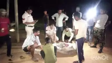 कोतमा: सड़क पर घायल गाय का पुलिस ने कराया उपचार