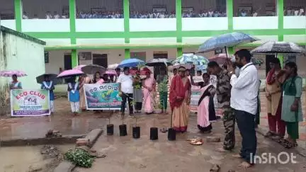 ବୀରମିତ୍ରପୁର: ବୀରମିତ୍ରପୁର ବନାଞ୍ଚଳ ଅନ୍ତର୍ଗତ ହାତିବାରୀ ସେକ୍ସନର ସରକାରୀ ଉନ୍ଵୀତ ଉଚ୍ଚ ବିଦ୍ୟାଳୟ କନ୍ଦରକେଲା ଠାରେ ୭୬ତମ ବନମହୋତ୍ସବ ପାଳିତ ।