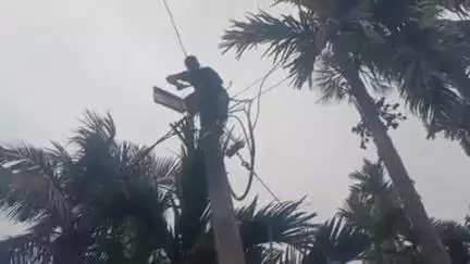 दिघलबैंक: नयाबारी बाभनटोली के ग्रामीणों ने लो वोल्टेज की समस्या को लेकर बिजली विभाग को दिया आवेदन