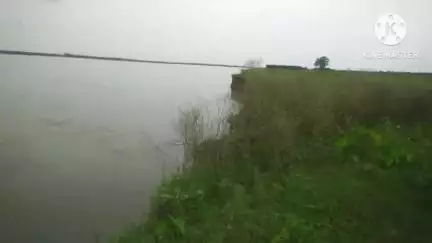 নয়াগ্রাম: সুবর্ণরেখা নদীর জলস্তর বৃদ্ধি পেতে রামচন্দ্রপুরে শুরু হয়েছে নদী ভাঙ্গন, বিঘার পর বিঘা চাষ জমি চলে যাচ্ছে নদী গর্ভে