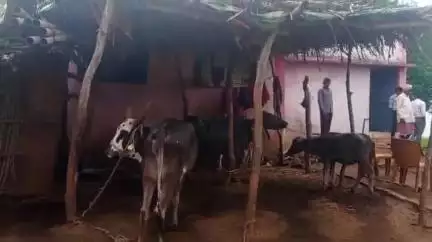 वरला: ग्राम मुहाला में सरकारी स्कूल में गुंडे का कब्जा, बच्चे बैठे स्कूल के बाहर "*