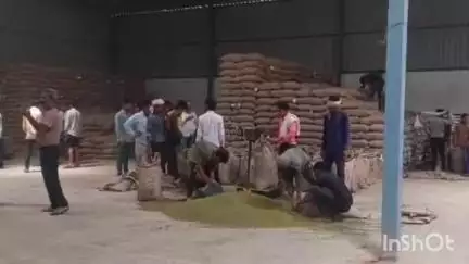 नसरुल्लागंज: नगर में मूंग खरीदी को लेकर प्रशासन सख्त, केवल एफएक्यू माल की ही होगी खरीदी