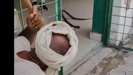 मोठ: ग्राम कुडरी के स्कूल में निकला साँप, बच्चों में मचा हड़कंप, वीडियो हुआ वायरल
