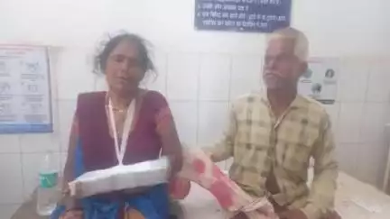 तेंदूखेड़ा: झलौन में खेत में काम कर रही महिला पर मगरमच्छ का हमला, महिला जबलपुर रेफर