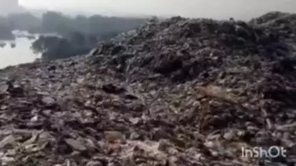 ठाणे: दिव्यात चोरून टाकला जात असलेला कचरा मनपाने तात्काळ बंद करावा: ठाकरे गट कल्याण ग्रामीण विधानसभा प्रमुख मुंडे