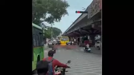 हवेली: हडपसर येथे पुणे सोलापूर महामार्गावर ट्रेक सिग्नल न पाळता पीेएमपीएमएल बसचालकाने बस सुसाट पळवली; व्हिडीओ व्हायरल