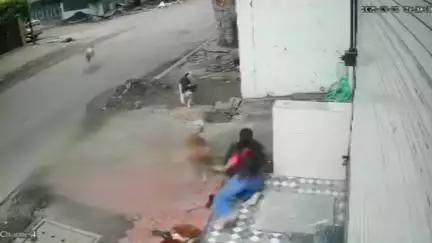 इंदौर: MIG क्षेत्र में कुत्तों के झुंड ने एक छात्रा पर किया हमला, घटना का CCTV फ़ुटेज आया सामने