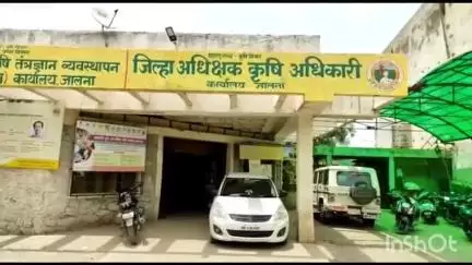 जालना: खरीप हंगामात बोगस बियाणे प्रकरणी जालन्यात कृषी विभागाकडे 11 तक्रारी दाखल