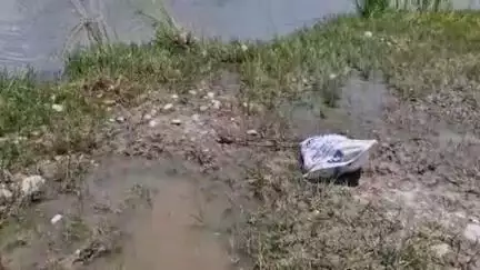 लक्सर: महतोली गांव में विशालकाय अजगर को देखकर ग्रामीणों में मचा हड़कंप, वन विभाग ने उसे पकड़कर बाण गंगा में छोड़ा