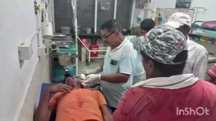 बरारी: बड़ी भैसदियरा में खेत से लौट रहे किसान पर भैंस ने किया हमला, अस्पताल में भर्ती