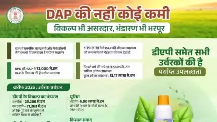 जिले में डीएपी की कमी को पूरा करने के लिए एनपीके, एसएसपी और नैनो डीएपी का भरपूर स्टॉक