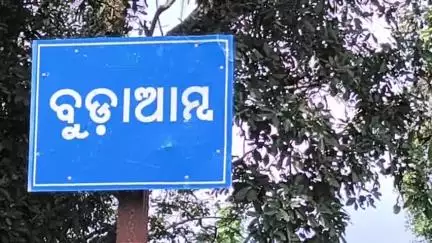 ତେଲକୋଇ: ପଲୁଆ ହାତୀଙ୍କୁ ନେଇ ବୁଢାଆମ୍ବ , ରାଙ୍କି ଗାଁ ଅଞ୍ଚଳ ଭୟର ବାତାବରଣ ମଧ୍ୟରେ
