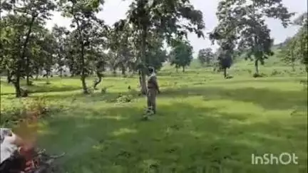 बचगांव वन क्षेत्र में कुत्तों के हमले में घायल हिरण की मौत, वन विभाग ने किया अंतिम संस्कार
