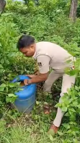 ସୋର: ଅଭିରାକୁଣ୍ଡ ସମେତ ବିଭିନ୍ନ ସ୍ଥାନରେ ଅବକାରୀ ଚଢ଼ାଉ, ଗୁଡପୋଚ ନଷ୍ଟ ସହ ଦେଶୀମଦ ଜବତ, ଦୁଇ ଗିରଫ