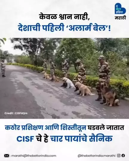 CISF चे हे चारपायांचे सैनिक कठोर प्रशिक्षण आणि शिस्तीतून घडवले जातात!