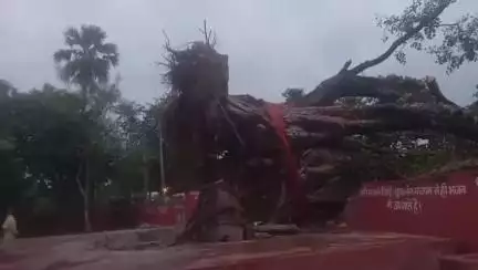 लालगंज: धनुषी में 200 वर्ष पुराना पेड़ गिरने से लालगंज-हाजीपुर मार्ग कई घंटे बाधित