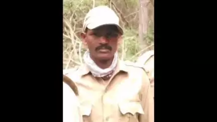 ಹೆಗ್ಗಡದೇವನಕೋಟೆ: ಹಸಿಹಿಂಡಲಕಡ ಟ್ರಾನ್ಜ್ಯಾಕ್ಸ್ ಲೈನ್ ಅರಣ್ಯ ಪ್ರದೇಶದಲ್ಲಿ ಹೊರಗುತ್ತಿಗೆ ಕಳ್ಳ ಬೇಟೆ ತಡೆ ಶಿಬಿರ ಕಾವಲುಗಾರನ ಮೇಲೆ ಕರಡಿ ದಾಳಿ