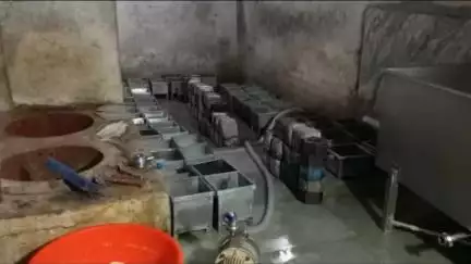 सिवनी: कुकलाह बीसाबाड़ी में पनीर फैक्ट्री सील, अवैध निपटान बनी वजह