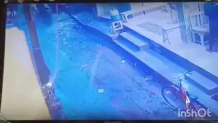 अकबरपुर: अकबरपुर में बिजली प्रभावित पोल के संपर्क में आने से एक बेजुबान भेड़िया की मौत, जबकि दो घायल हो गए
