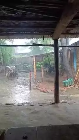 16/07/25 काफी बारिश हो रहा है आज⛈️ सुखासन पंचायत में #videos#viral#indan#Bihar#goalpara#sukhasan#manishbihari