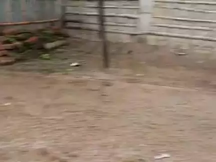 hasangnj कटिहार में mnsun का कहर देखा हैं जिसमें majdur को काम करने में देकत् का सामना करना पर रहा  हैं
 कटिहार hasangan
