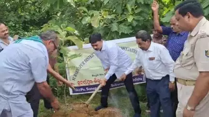 ସୋନପୁର: ଜିଲ୍ଲା ବରିଷ୍ଠ ନାଗରିକ ସଙ୍ଘ ପକ୍ଷରୁ ସଦର ରିଙ୍ଗରୋଡ଼ ଠାରେ ମାଁ ପାଇଁ ଗଛ ଟିଏ କାର୍ଯ୍ୟକ୍ରମ ଅନୁଷ୍ଠିତ ହୋଇ ଯାଇଛି।