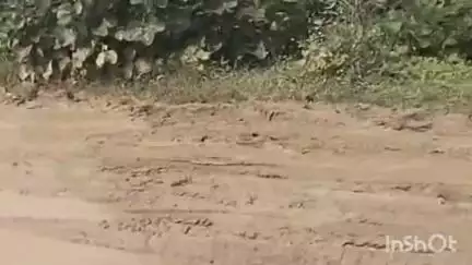 शेरघाटी: शेरघाटी के सोनडीहा गांव की जर्जर सड़क बनी ग्रामीणों की पीड़ा, दो महीने पहले टेंडर हो चुका है
