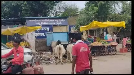 बूंदी: अहिंसासर्किल पशु चिकित्सालय के बाहर लगा गंदगी का ढेर  नगरपरिषद द्वारा कार्रवाई नहीं करनेसे आमजन परेशान#jansamasya
