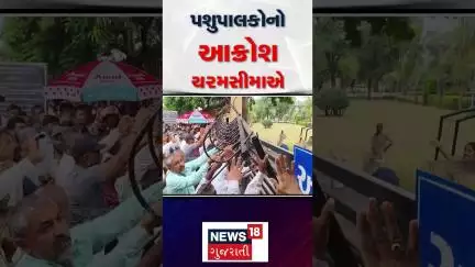 Saber Dairy | પશુપાલકોનો આક્રોશ ચરમસીમાએ | Cattle farmers | Sabarkantha | News18 Gujarati
