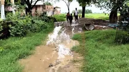पोरसा: गिद्धौली गांव के मासूमों की मुसीबत:स्कूल जाने को नही है पक्का रास्ता,कीचड़-दलदल से गुजरने को मजबूर बच्चे#Jansamasya