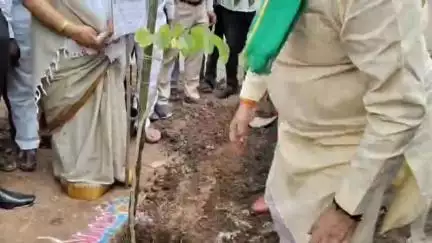 అసిఫాబాద్: సుంగాపూర్ ఆశ్రమ సాటిలైట్ పాఠశాల ఆవరణంలో మొక్కలు నాటిన కేంద్ర మంత్రి హర్ష్ మల్హోత్రా