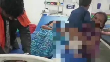 डिंडौरी: जोगी टिकरिया गांव में महिला को सांप ने काटा, ज़िला अस्पताल में उपचार जारी